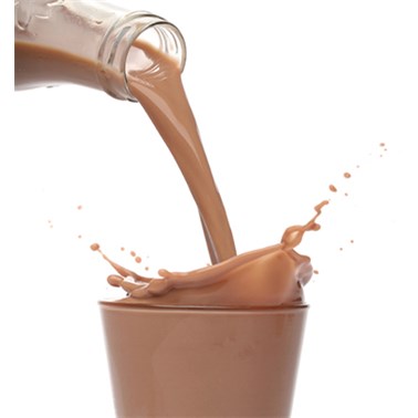 Bernard Hi-Pro Plus Chocolate Milk Shake Mix